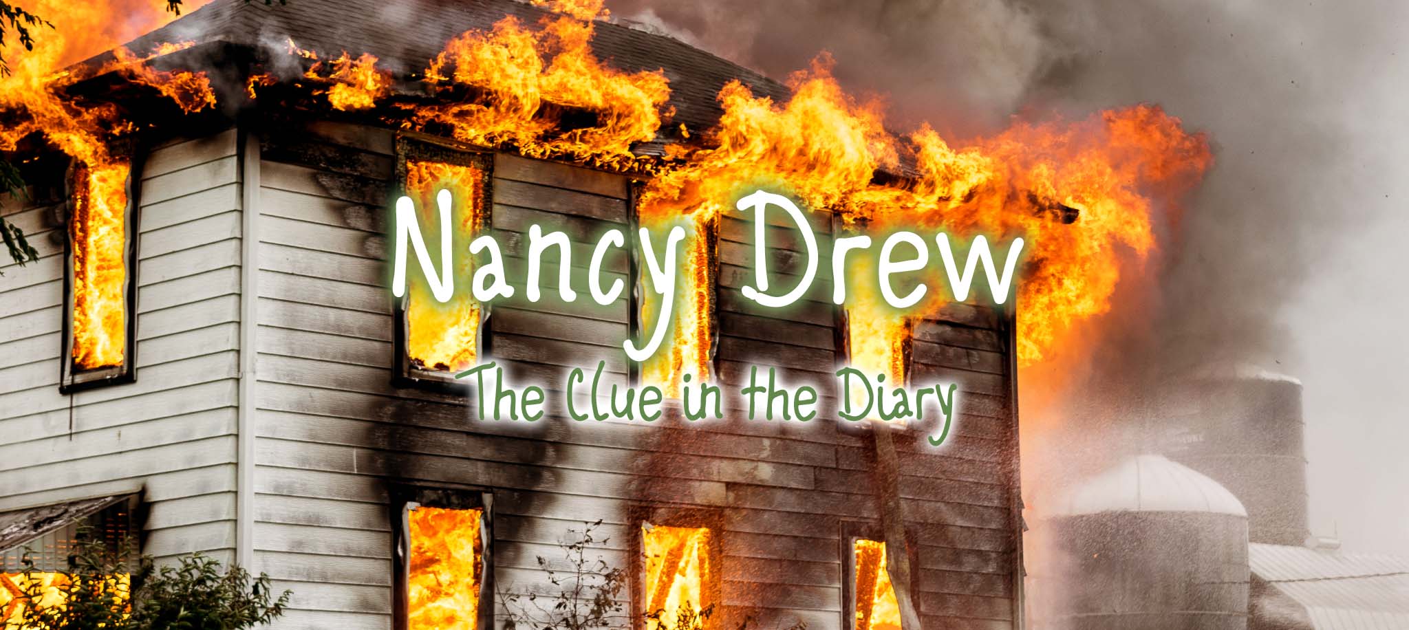 The Clue in the Diary