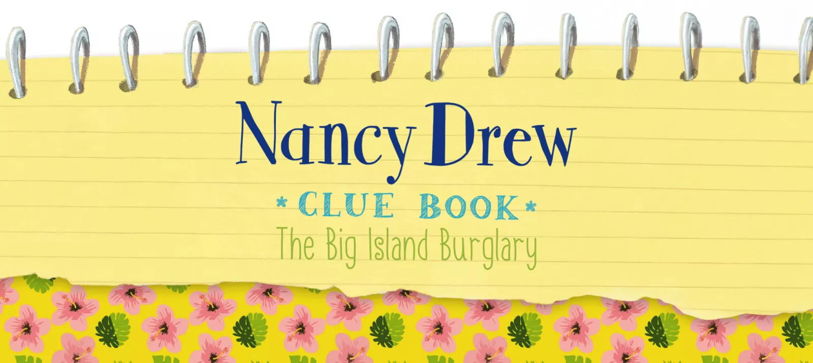 The Big Island Burglary