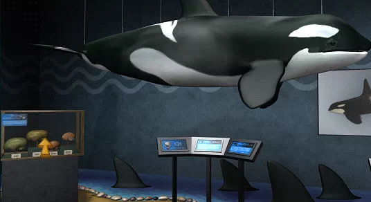 Whale Exhibit