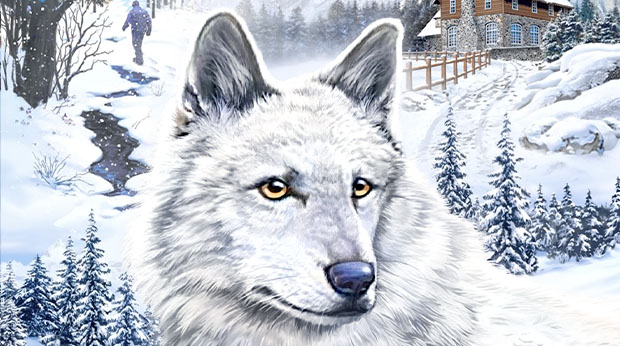 The White Wolf of Icicle Creek